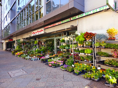 Blumen Paradies