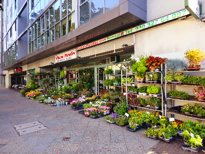 Blumen Paradies