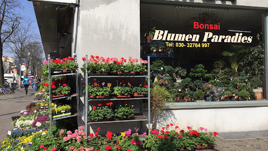 Blumen Paradies