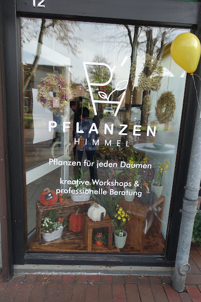 Pflanzen Himmel