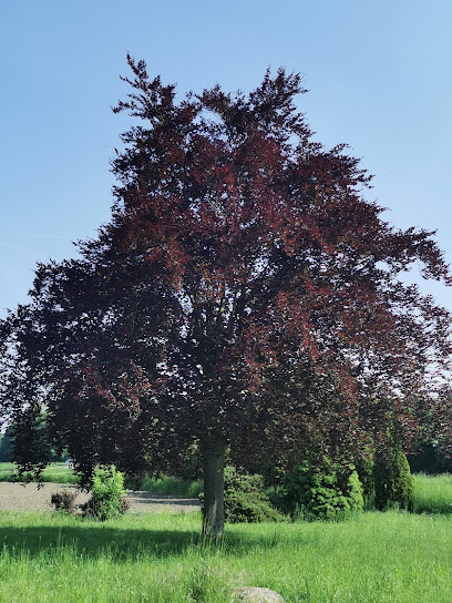 Gärtnerei Rusman