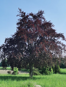 Gärtnerei Rusman