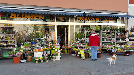 Blumenlotte