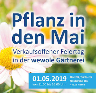 Floristik/Gärtnerei wewole WERKEN gGmbH