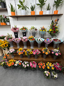 Anna Blumen