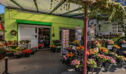NIUNIAS BLUMEN - Duisburg
