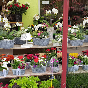 NIUNIAS BLUMEN - Duisburg