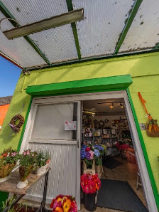 NIUNIAS BLUMEN - Duisburg