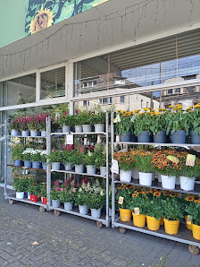 Speldorfer Pflanzenmarkt