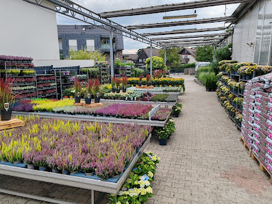 Flowdi Pflanzendiscount