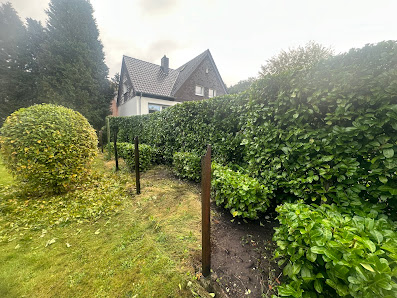 Garten und Landschaftsbau Weidenbruch Tulpen