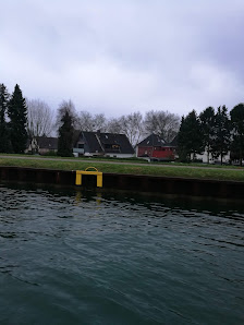 Scharf GmbH