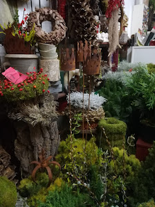 Doriś Moderne Floristik