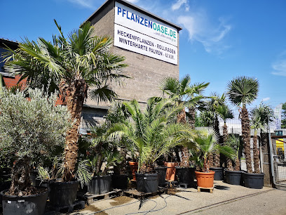 Pflanzenoase.de