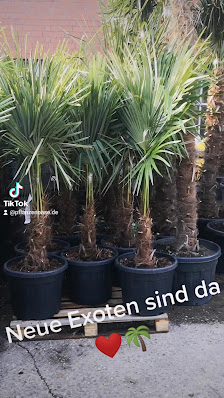 Pflanzenoase.de