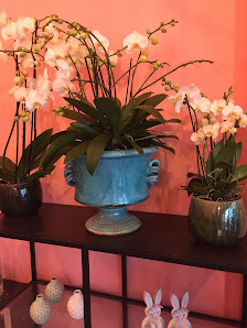 Blumen & Pflanzen