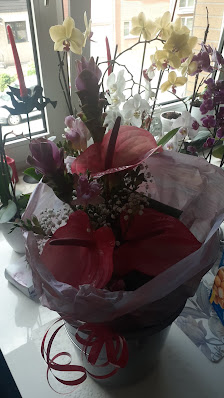Blumen und mehr