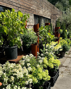 Blumen Heinen