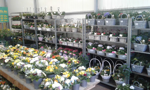 Blumenwelt Thielen