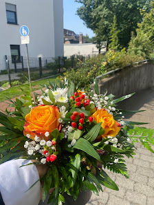 DER GARTENBOTE Krefeld -Linn