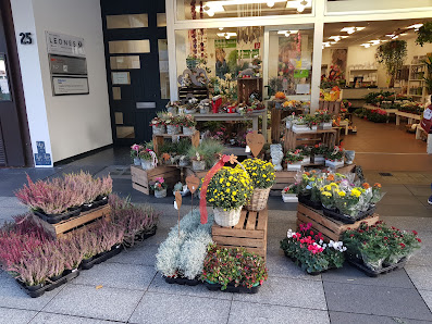 Blumen Risse Blumenladen Bochum-Innenstadt