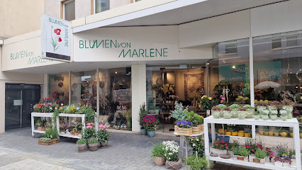 Blumen von Marlene GmbH