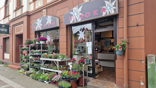 Blumen Ridder