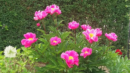 garten 45