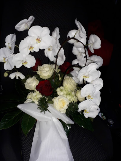 Werne's Blumenlädchen