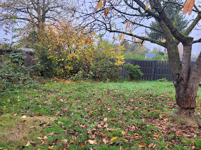 Gartenpflege Dettmann | Bochum