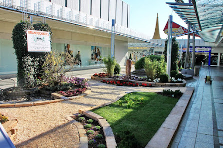 Brandschädel Gartenplanungs- und Landschaftsbau GmbH