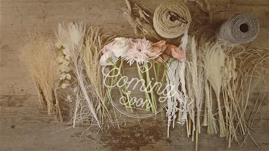 Axel Klodt flowers & living Bochum