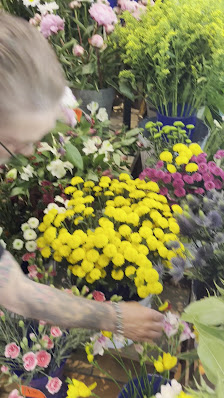 Blumen-Oase Berlin