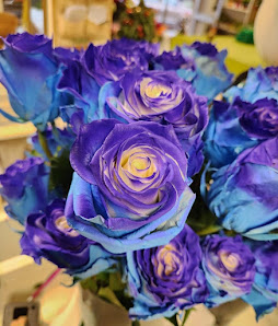 Blumen Sydow