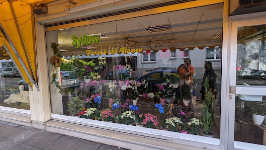 Blumen Sydow