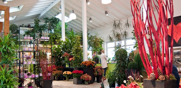 Blumenhaus Markowitz GmbH