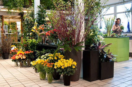 Blumenhaus Markowitz GmbH