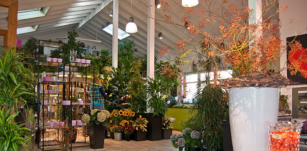 Blumenhaus Markowitz GmbH
