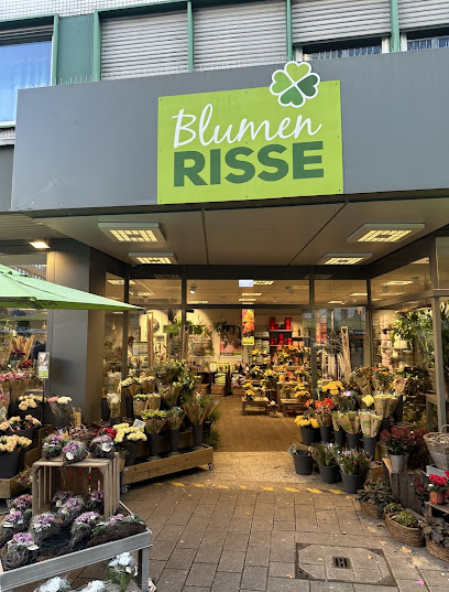 Blumen Risse Blumenladen Wuppertal-Elberfeld