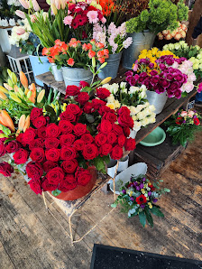 Blumen Felsner OHG