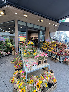 BLUME2000 Wuppertal Alte Freiheit