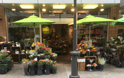 Blumen Risse Blumenladen Wuppertal-Barmen