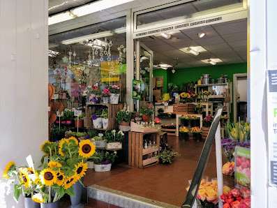 Blumen Risse Blumenladen Wuppertal-Vohwinkel