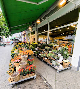 Blume 2000 Blumen-Handelsgesellschaft mbH