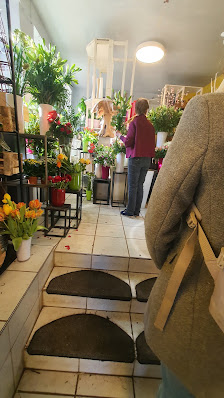 Blumen Dürr