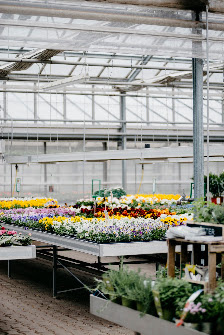 Bühler Gärtnerei & Floristik