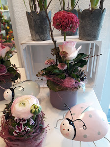 Blumen Hipp