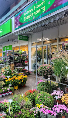 Ku´damm Flowers Blankenberg