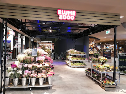 BLUME2000 im Scheck-In Karlsruhe Rüppurrer Str.