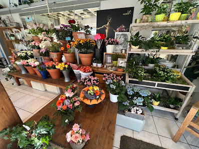 Blumen Krause